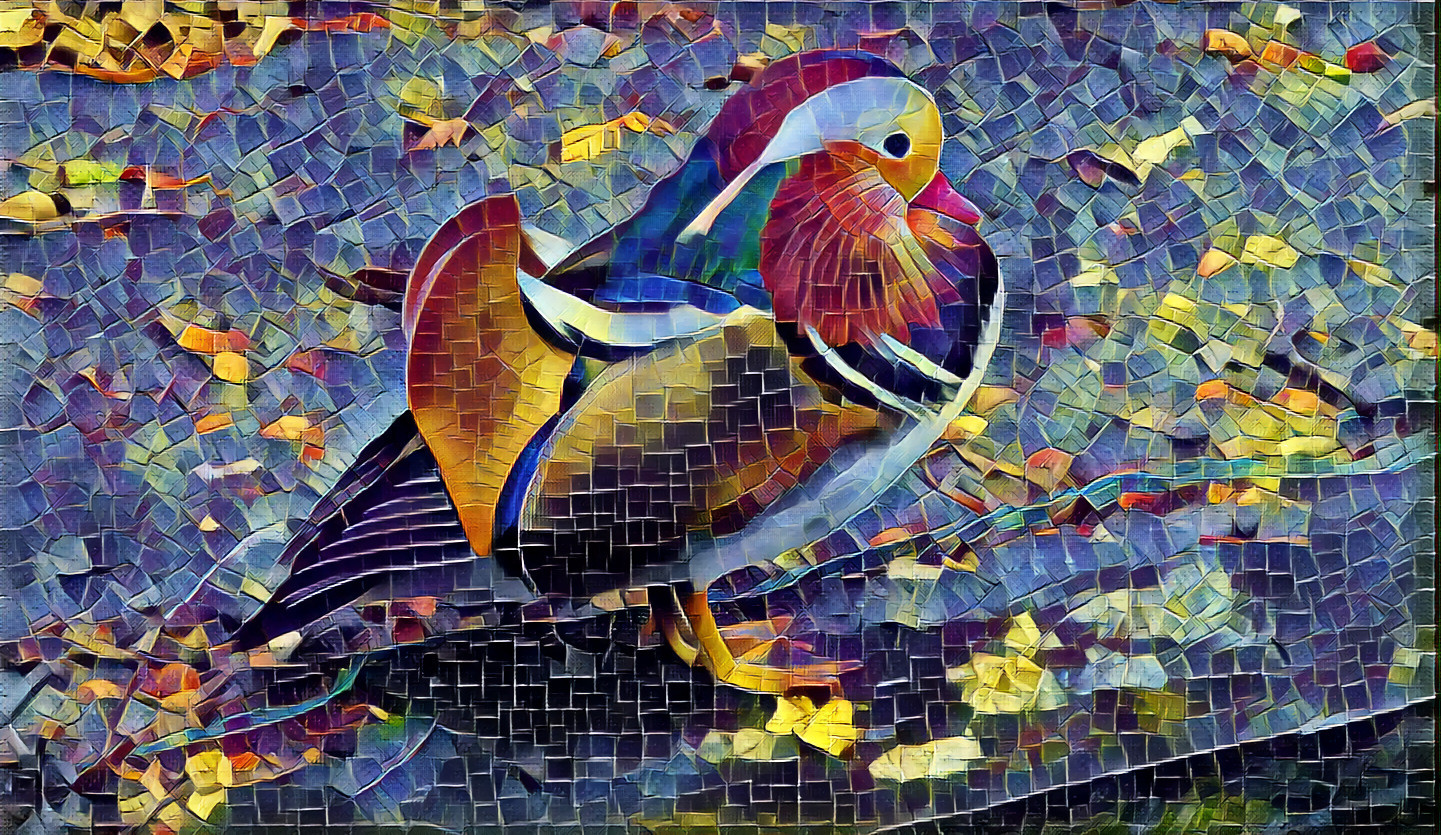 A Mandarin duck