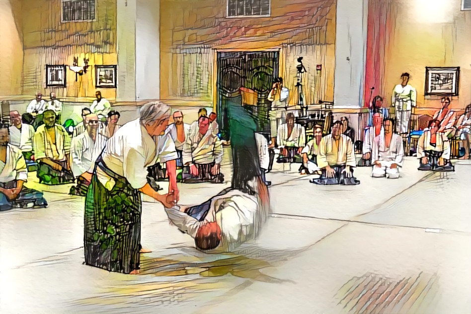 Aikido Summer Camp