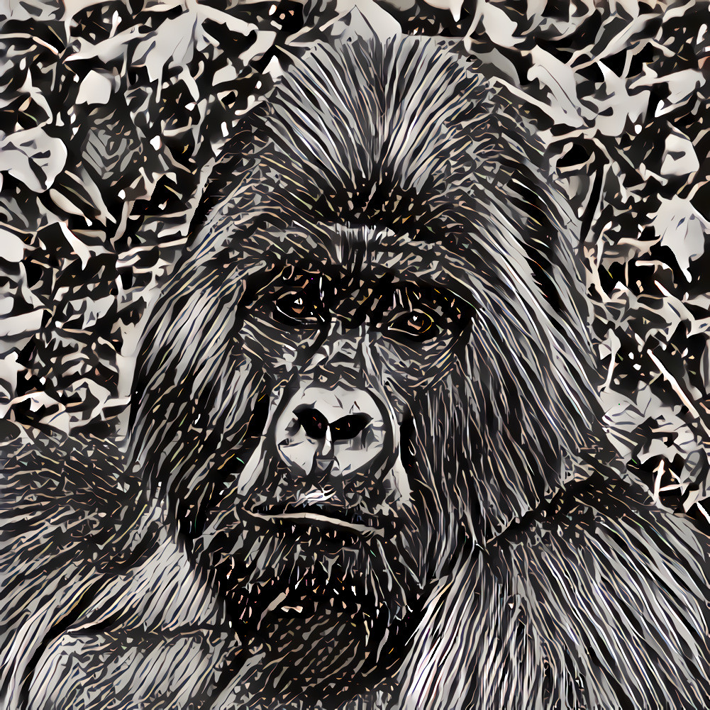 Gorilla