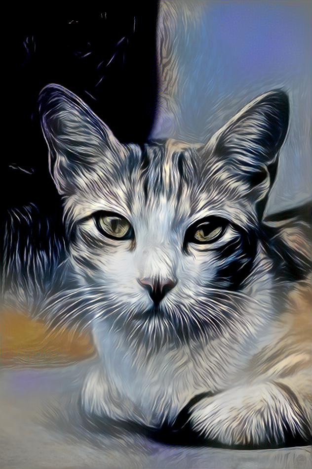 Silver Cat