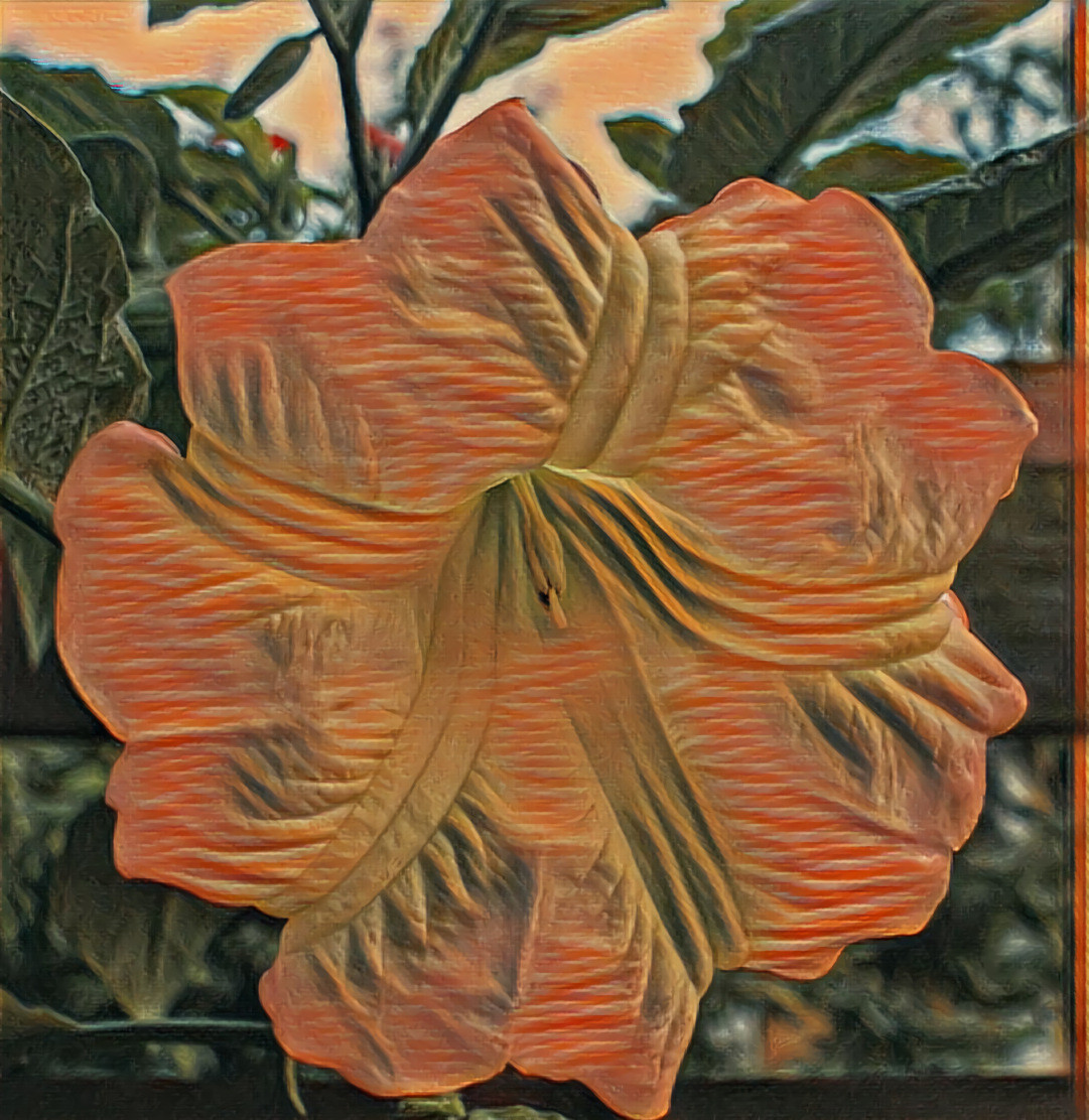 Angel's trumpet