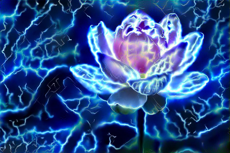 lightning flower