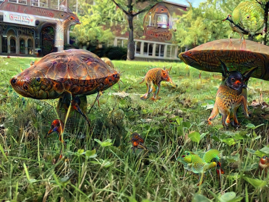 Magic Boletes