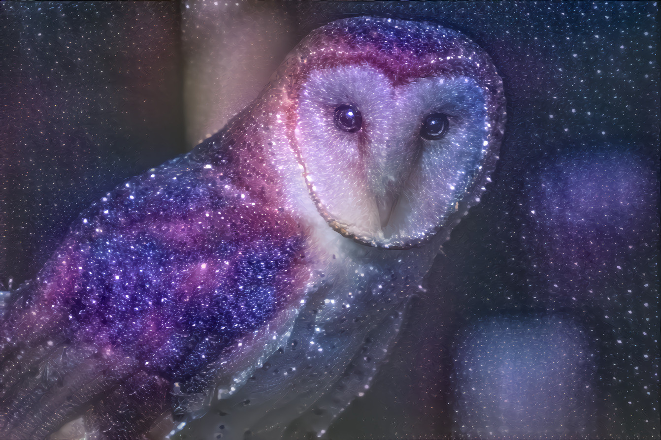 Stary Owl HD