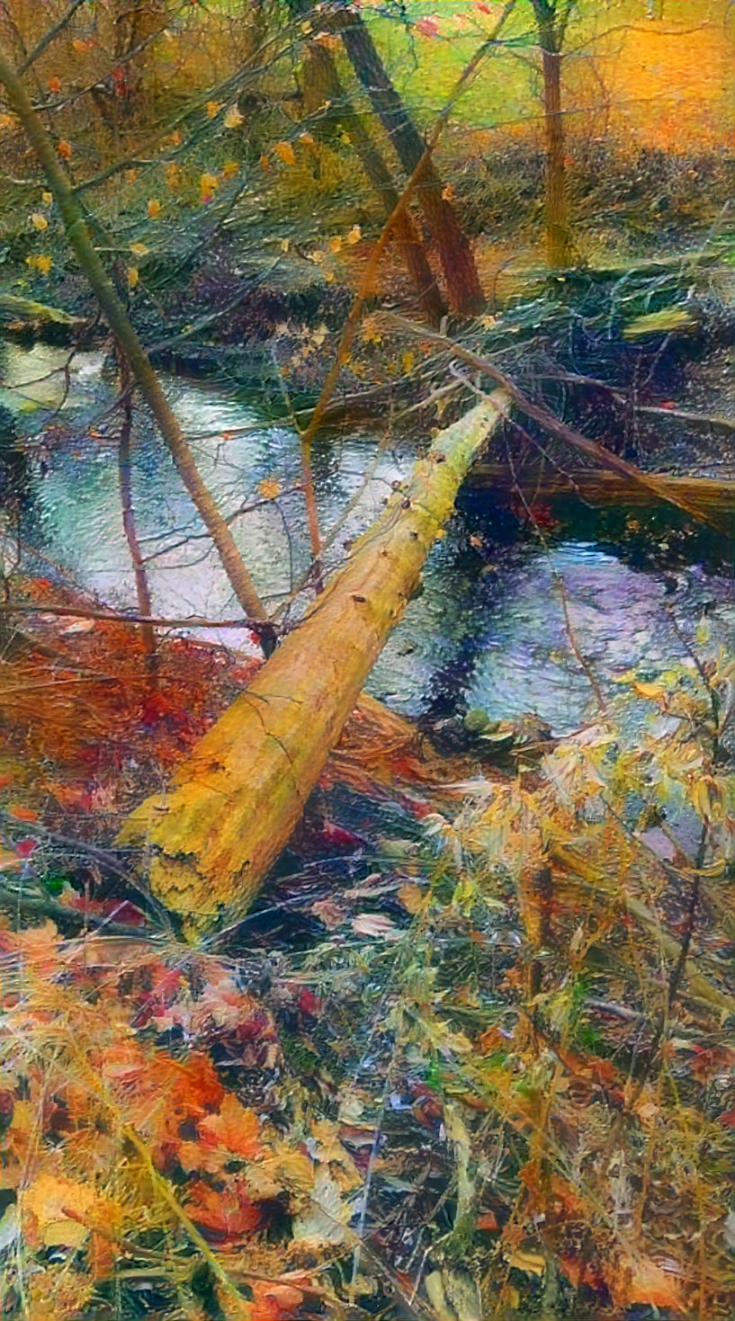 Foot Log Across The Creek