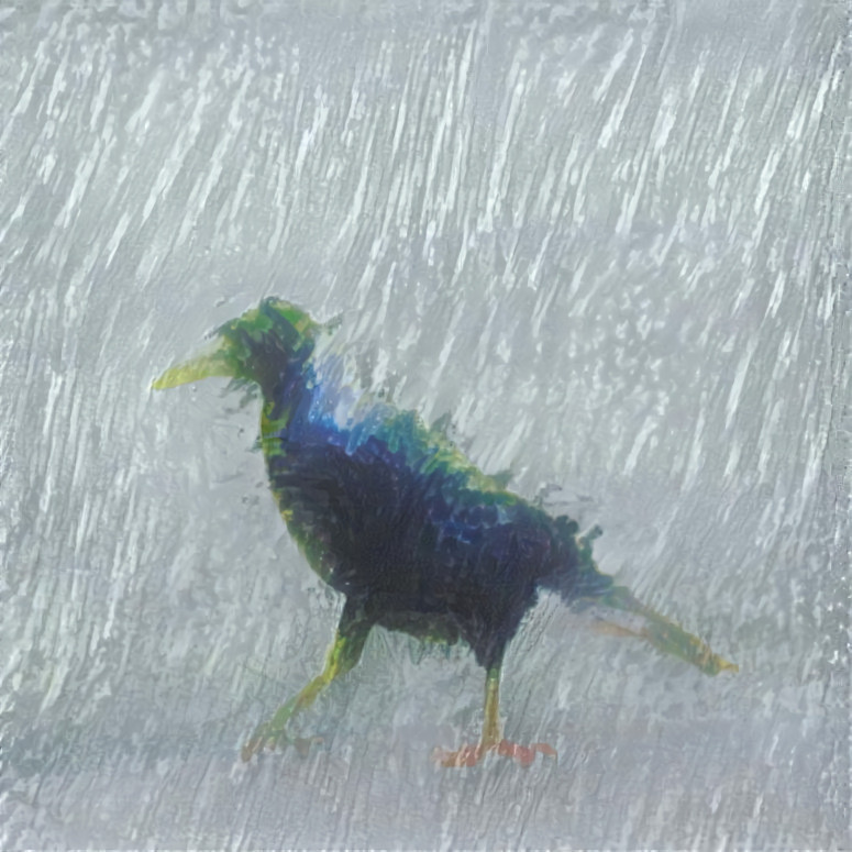 Magpie in the Rain