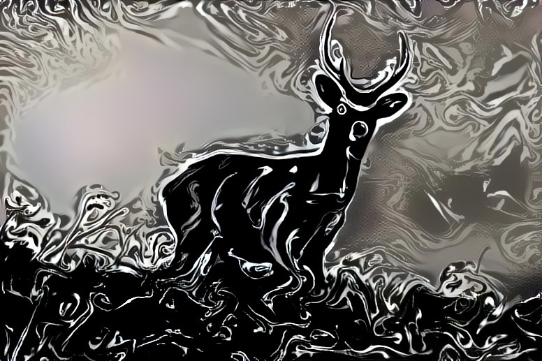 Stag