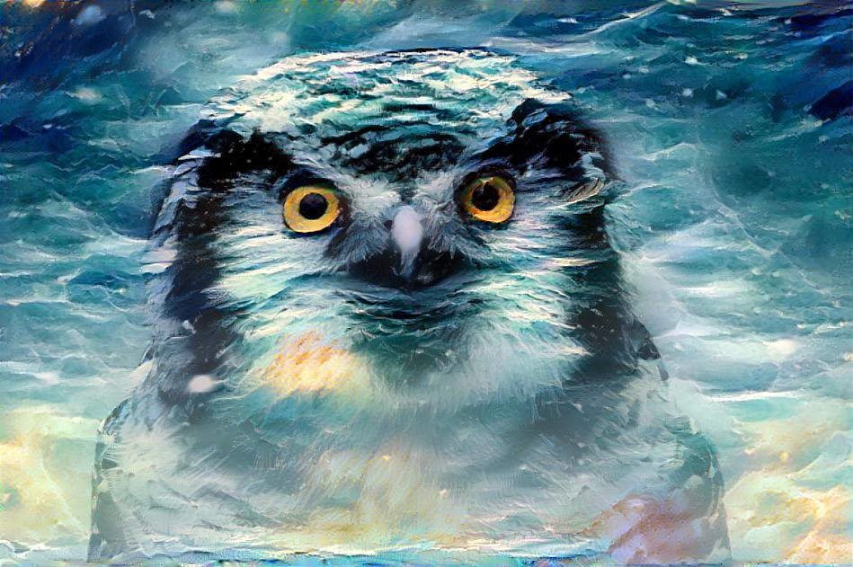 Owl