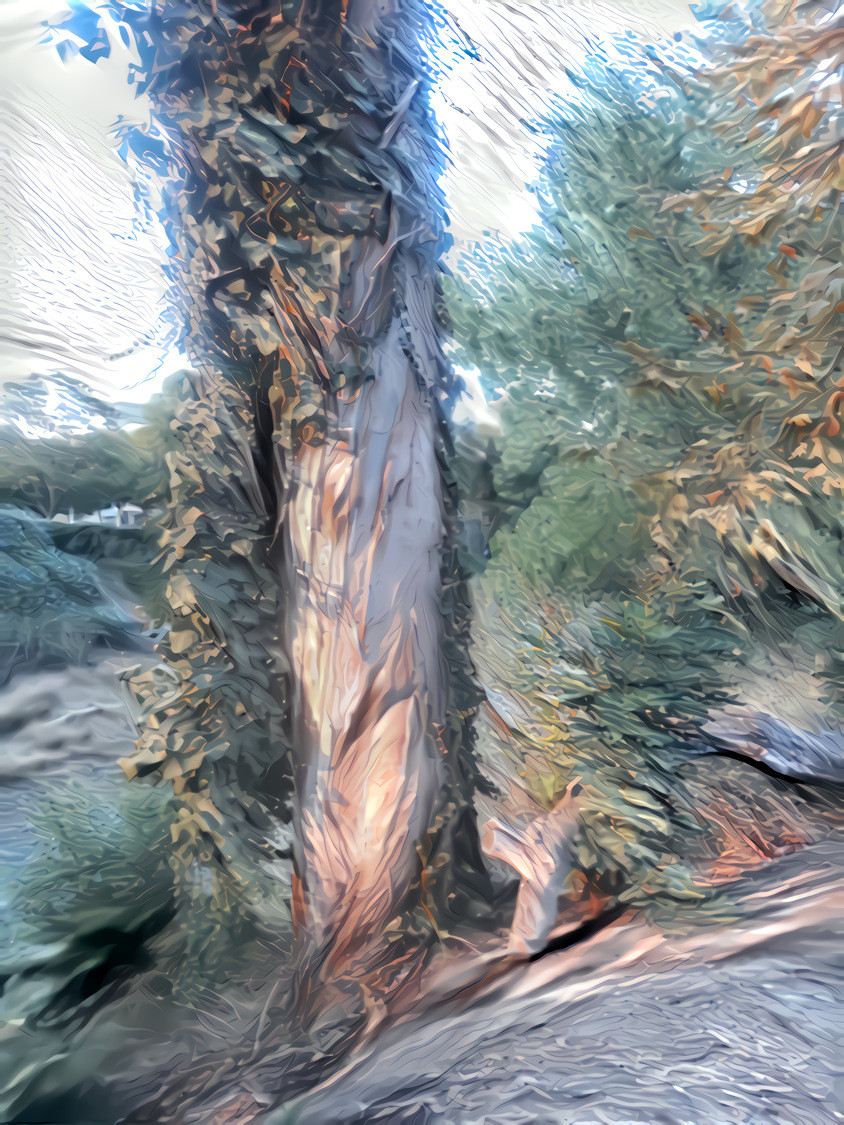 An Impasto Tree Trunk Study