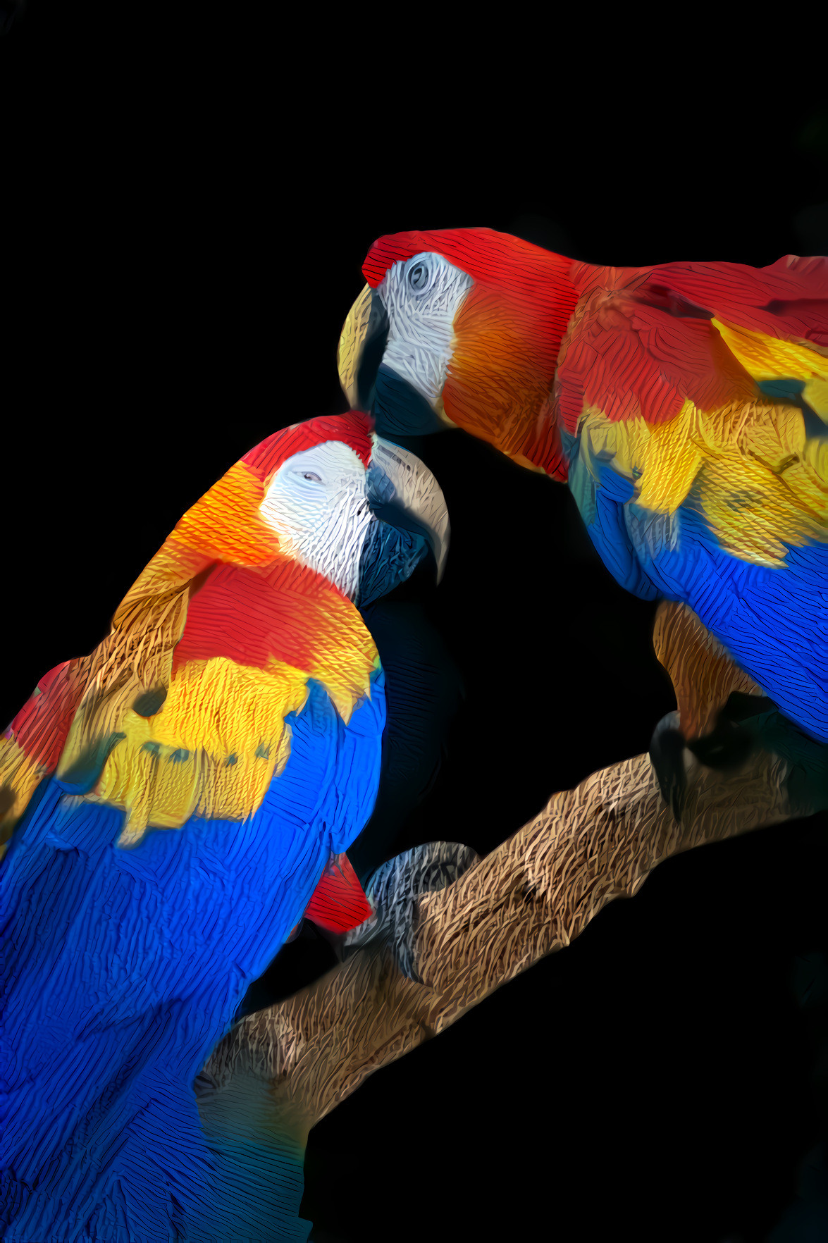 Parrot Love [FHD]