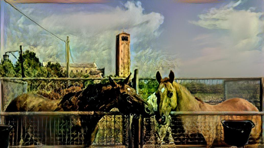 Horses2