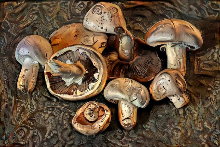 Meadow Mushrooms