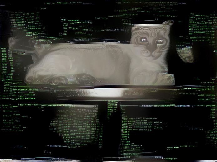 CODE CAT IS IN YOUR PROGRAMS EATING BUGS