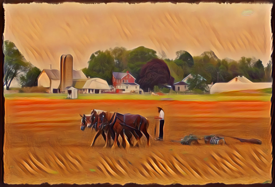 Amish Farm