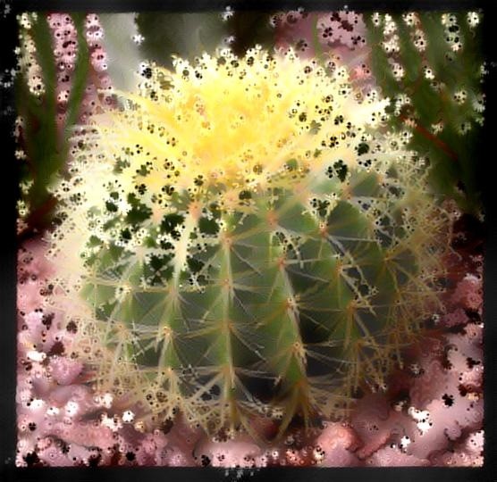 Fractus Cactus (1/3/yes)