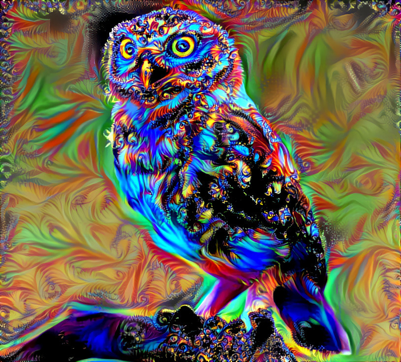 "Owl in rave" _ source: Bird Source Challenge / "Deep Dreamers" - group on Facebook _ (190723)