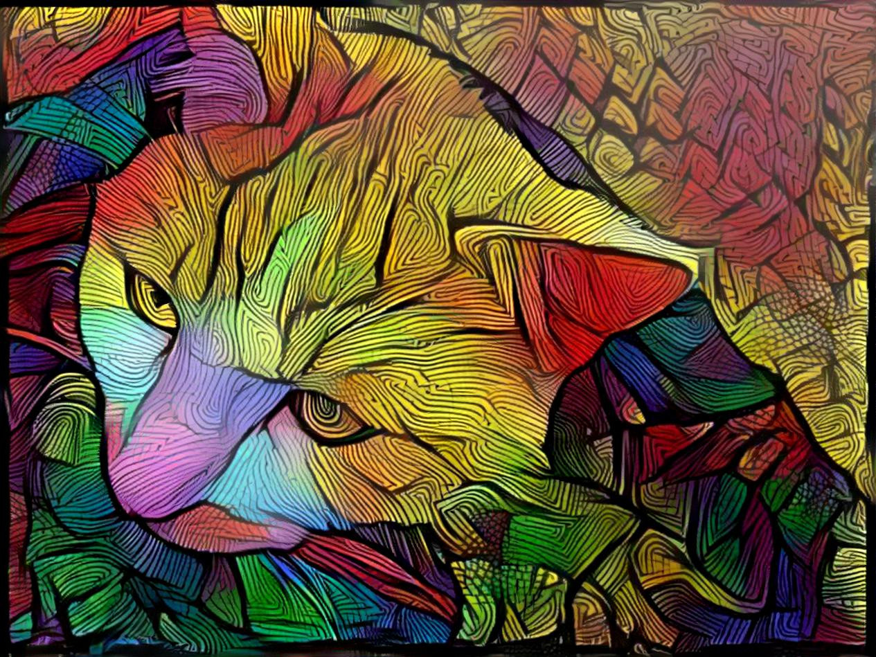 abstract cat