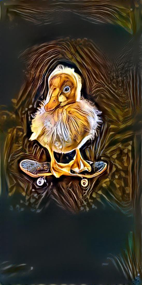 Surf Duck