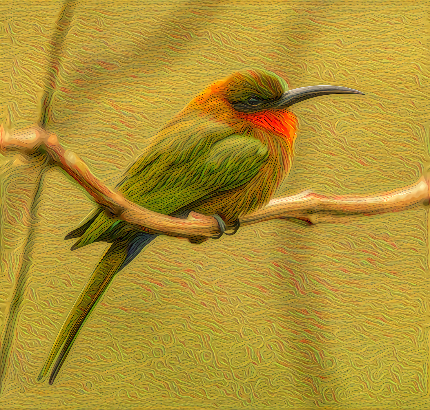 European Bee-Eater Bird