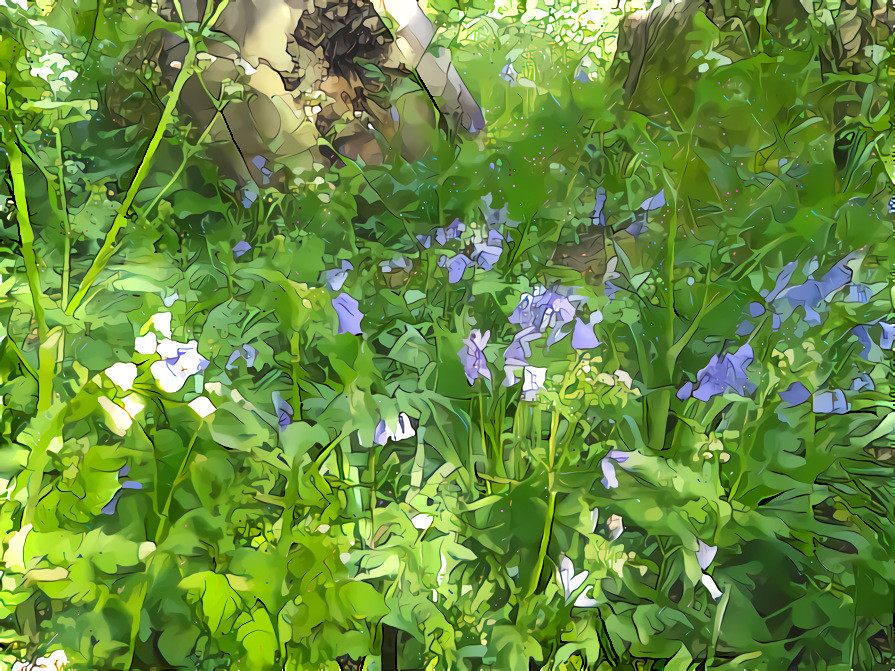 Fragrant Bluebells