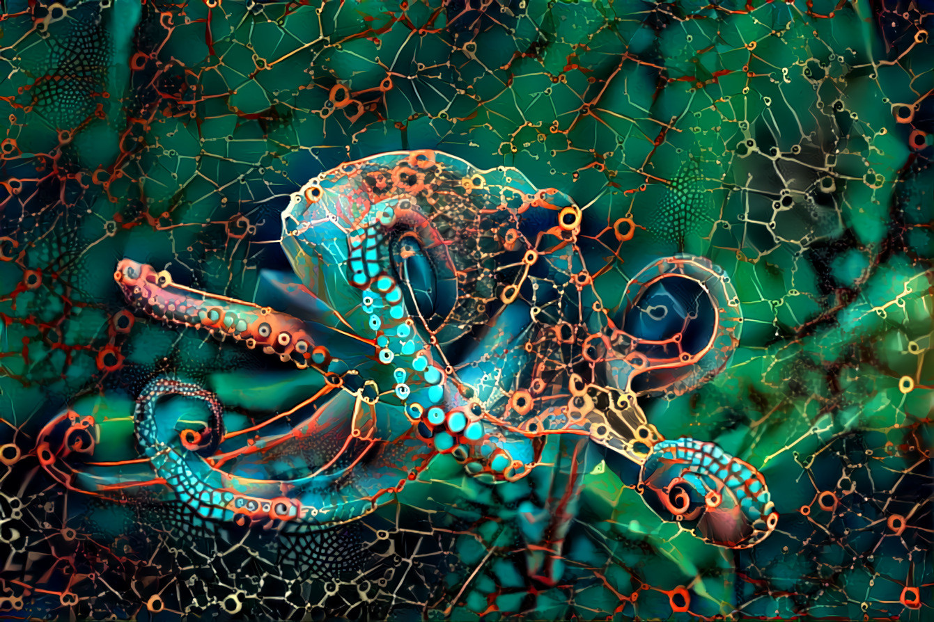 Octopus 