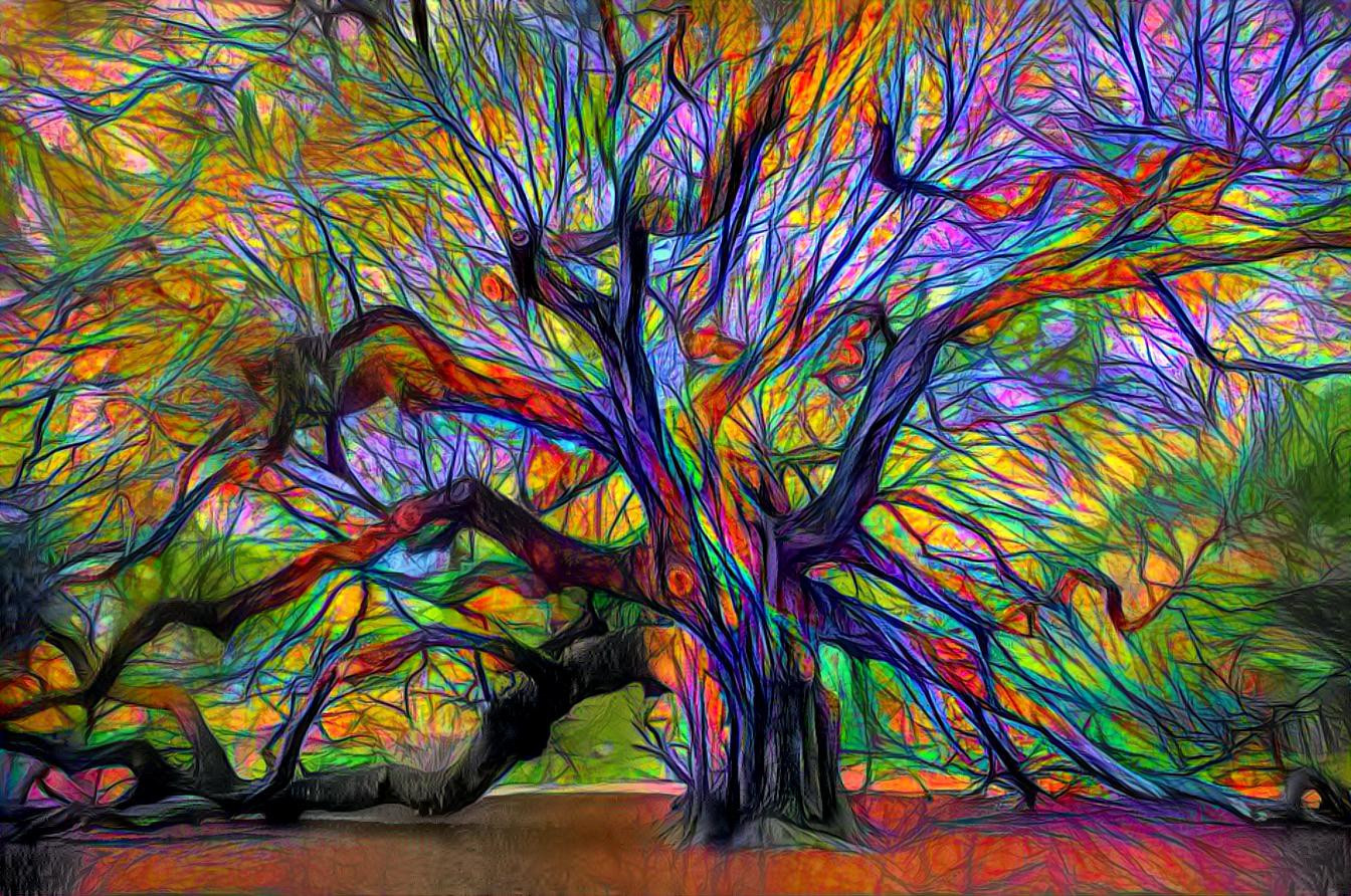 stained tree window