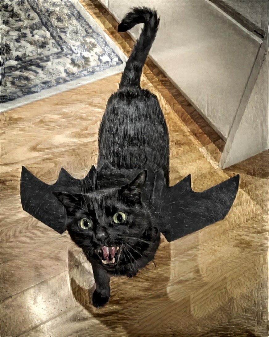 Bat-Cat