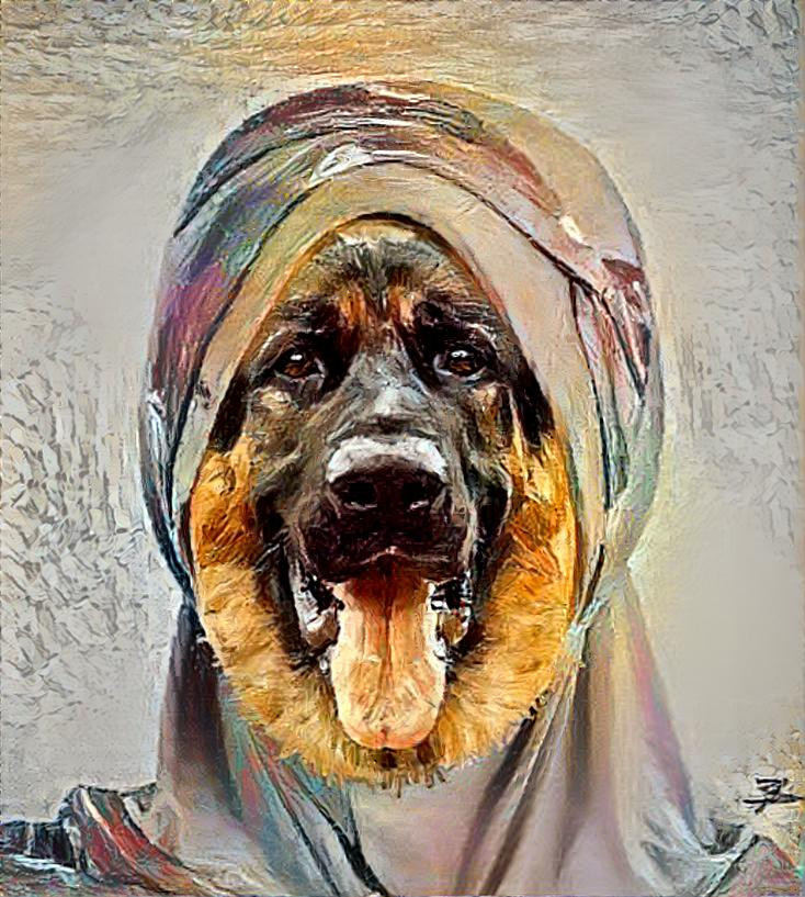 Taliban dog