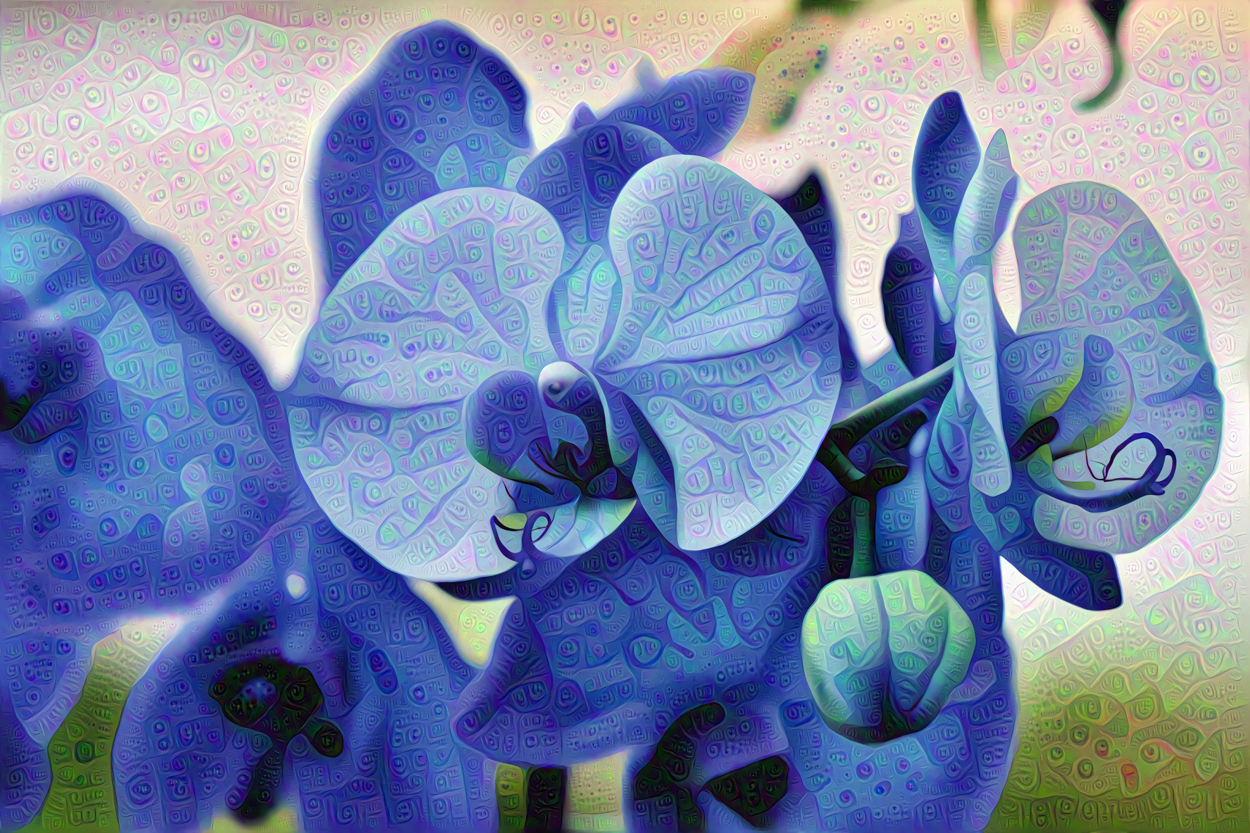 Blue Orchids