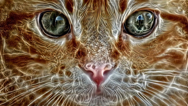 Deep Dream: Ginger Tom Cat