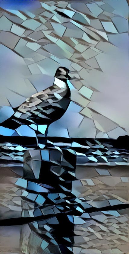 Cubism Livingston Seagull