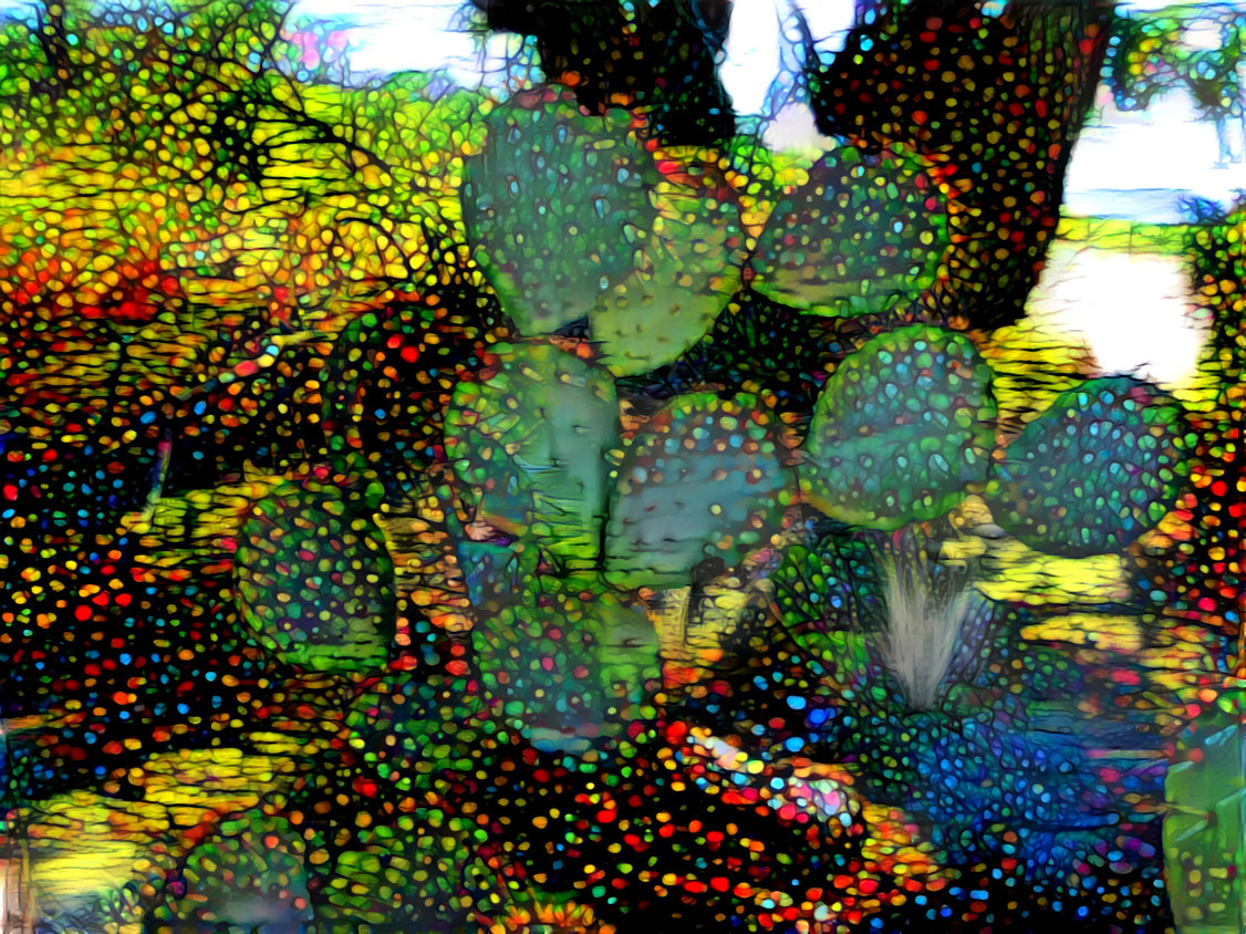 Opuntia 1 klimt 2_2