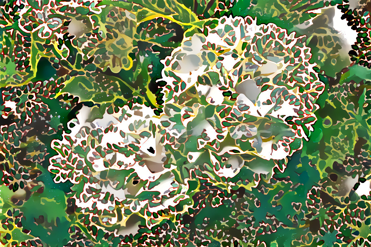 Ydrangea 1 overlaid fabric 82 adj 4