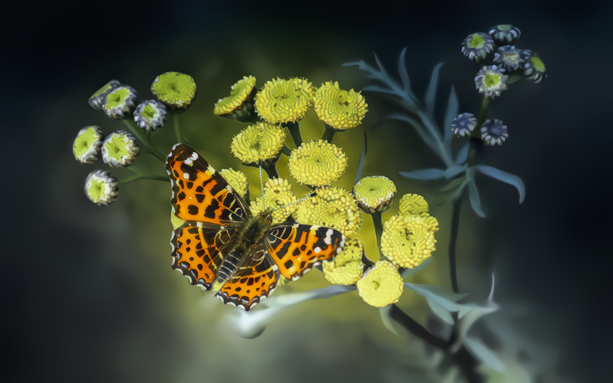 Butterfly and Wild Flowers