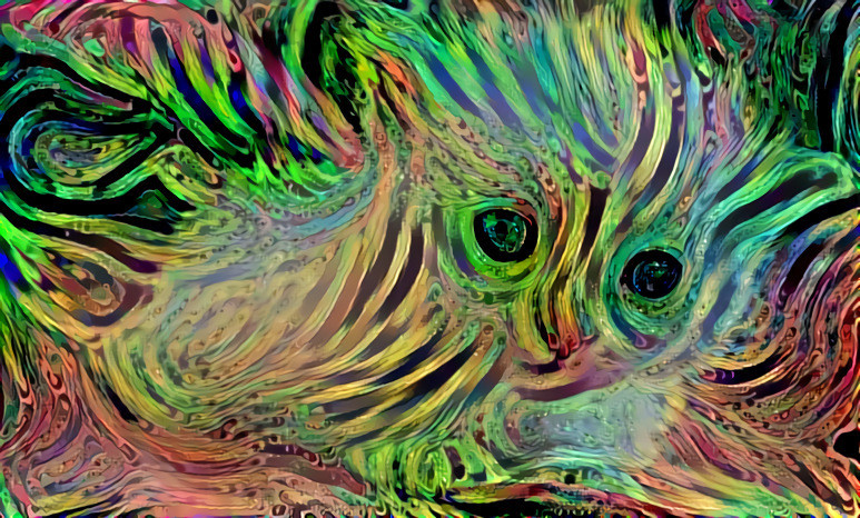 Trippy Kitty