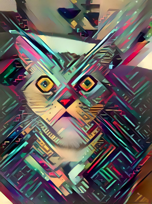 Cybercat