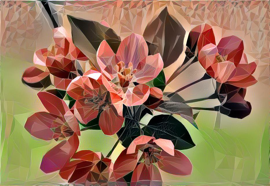 Flowers - cubism style