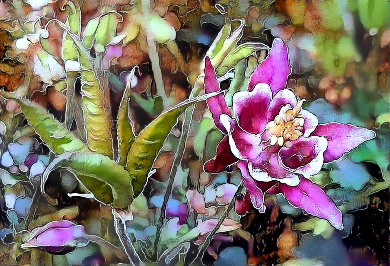 Columbine Plant