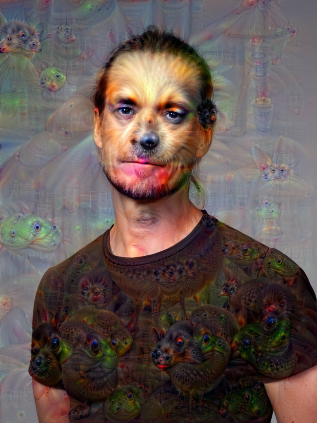 Deep dream