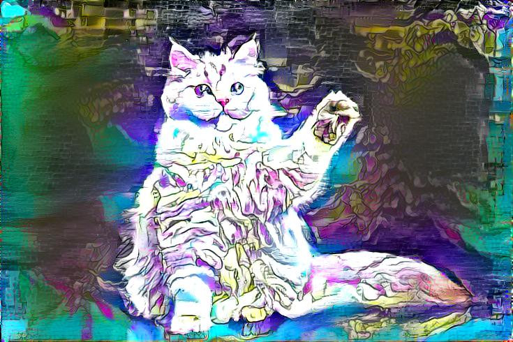 acid cat