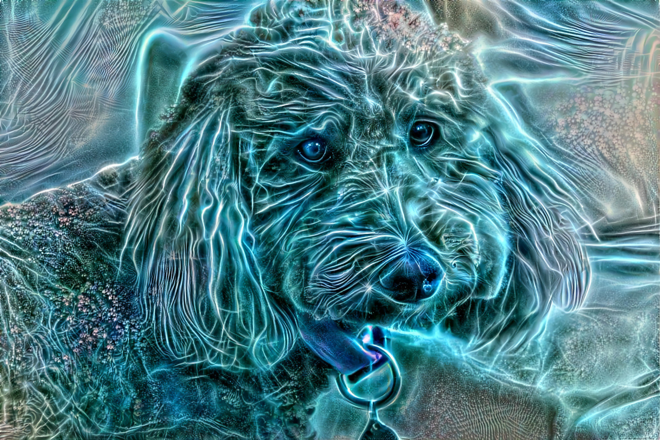 TRON Poodle