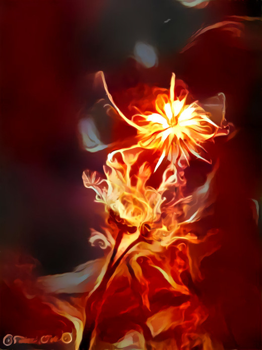 Fire flower