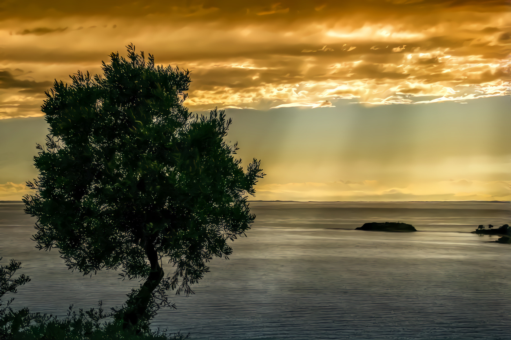 Evening Sun by the Sea