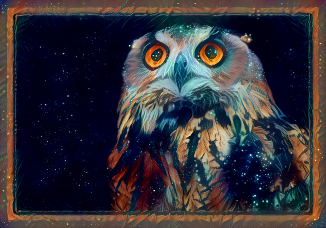 Night Owl 