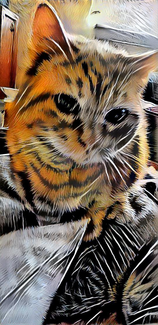 ORANGE THE TIGER