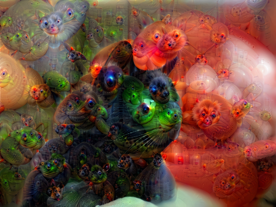 trippy cat