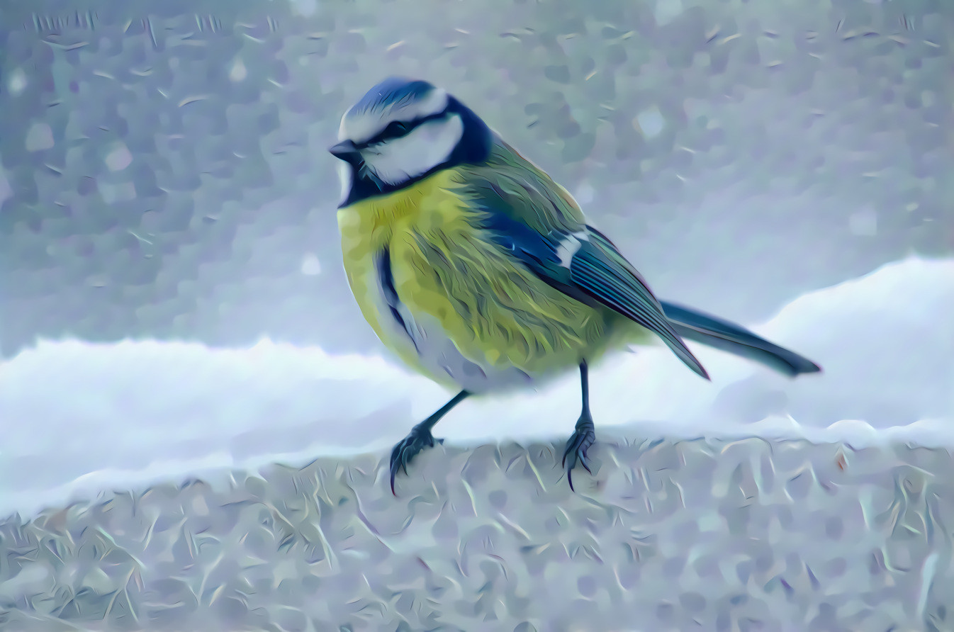 Eurasian Blue Tit.  Original photo by Regine Tholen on Unsplash.