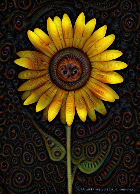 The Angry Sunflower