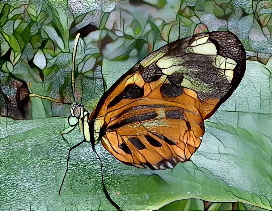 Schmetterling