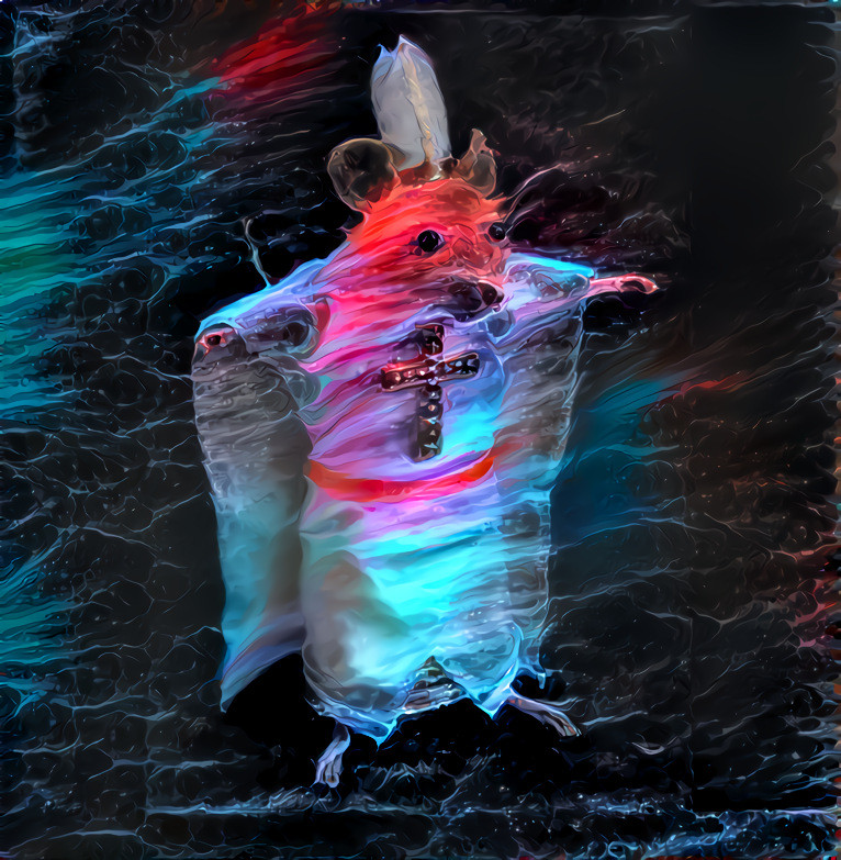 Rat